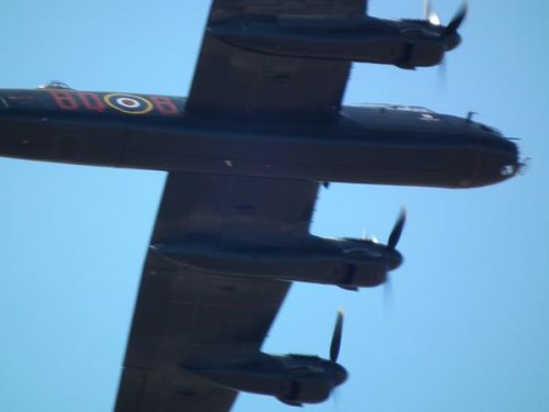 LANC 2.jpg