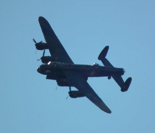 LANC 4.jpg