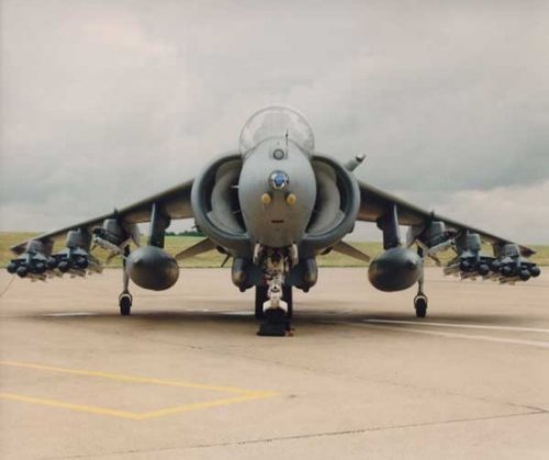 harriergr9aim9.jpg