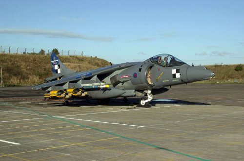 harriergr9aim92.jpg