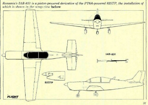 IAR 831.jpg