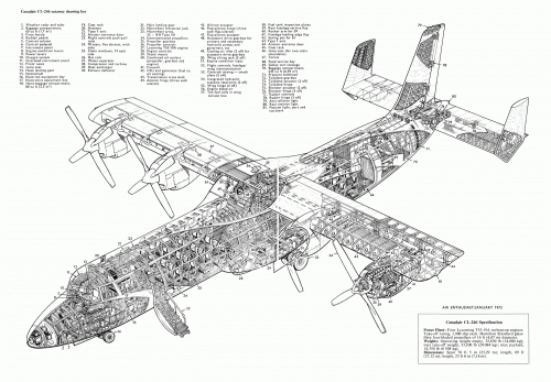 CL-246 cutaway small.gif