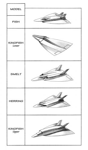 2011_KFISH_03_D_studies_1267828237_1204.jpg