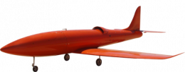 Cy bird.png