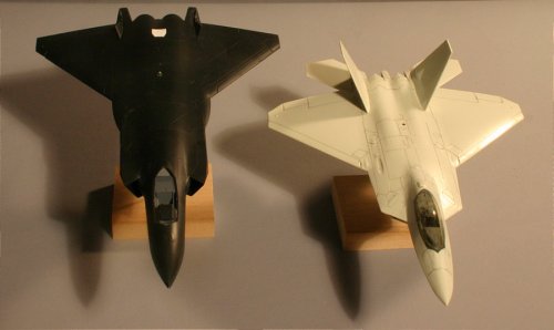 J-20 and F-22.jpg