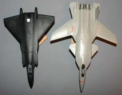 J-20 Berkut comparison.jpg