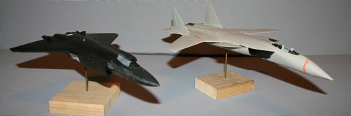 J-20 Berkut comparison 2.jpg