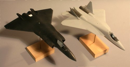 J-20 and T-50.jpg