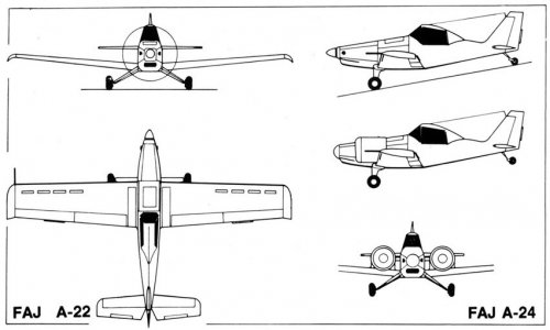 FAJ-A-22_2.jpg