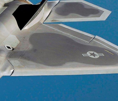 F-22-LE-flap.jpg