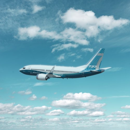 900_737MAX01.jpg