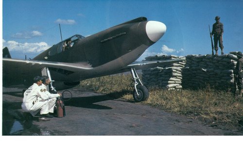 1st US Army Air Corps Mustang.jpg