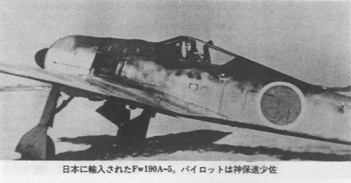 Imported Fw190.jpg