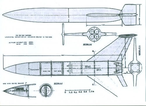 Feuerlilie 011.jpg