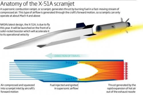 X51A anatomy_jpg.jpg