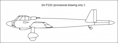 P-222.jpg