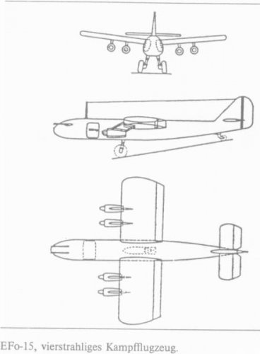 EFo-15.jpg