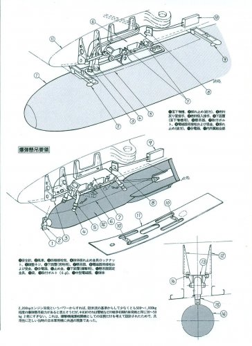 ñ 017.jpg