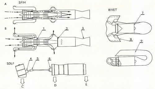 SFIH SDLF RIVET.jpg