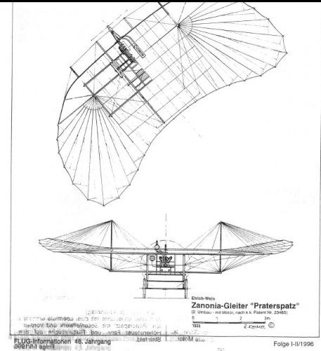 etrich-wels_zanonia_praterspatz.jpg