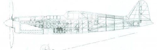 ñ 003.jpg