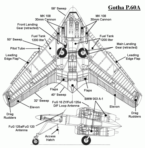 p60acut1.gif