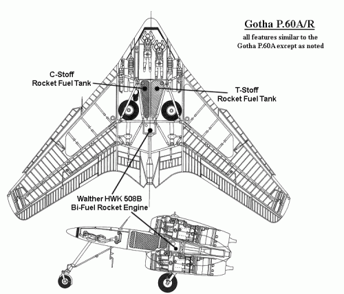 p60acut2.gif