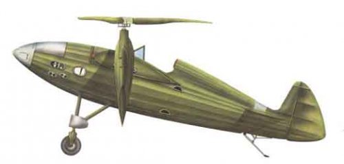 zucenko aerostatoplan.jpg