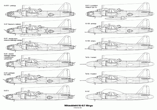 Ki-67 series.gif