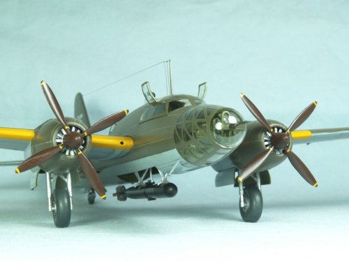 Ki-67 FRW.jpg