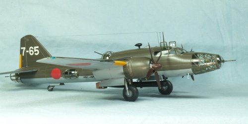 Ki-67 RSF.jpg