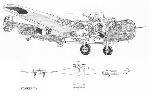 Fokker T.V.jpg