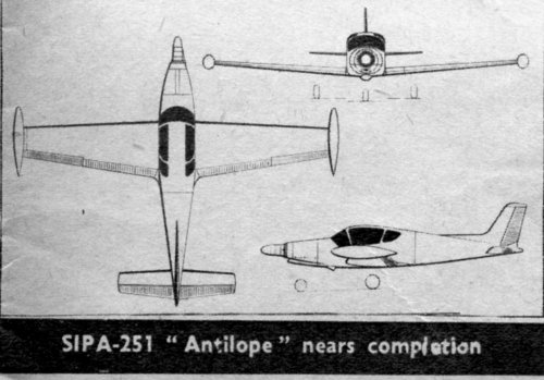 SIPA 251 Antilope.jpg