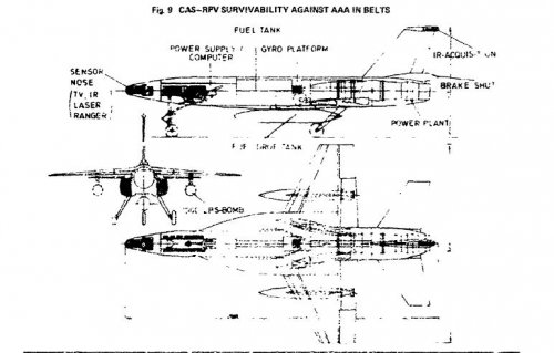 CAS RPV.JPG