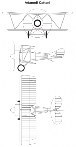 adamoli-cattani.png