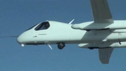 Firebird closeup in flight.jpg