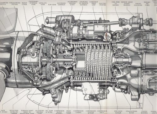 AS-Mamba compressor end cutaway-1948.jpg