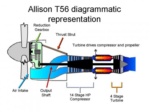 types of GT- T56.jpg