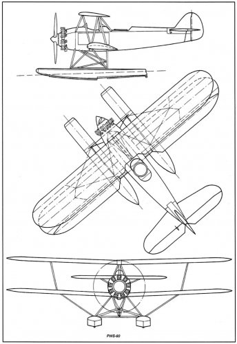 PWS-60-.jpg