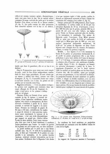 Amans-Aeronautique_Vegetale-La_Nature-1910-375.gif