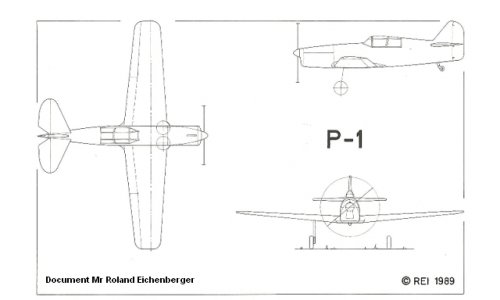 P-1.jpg