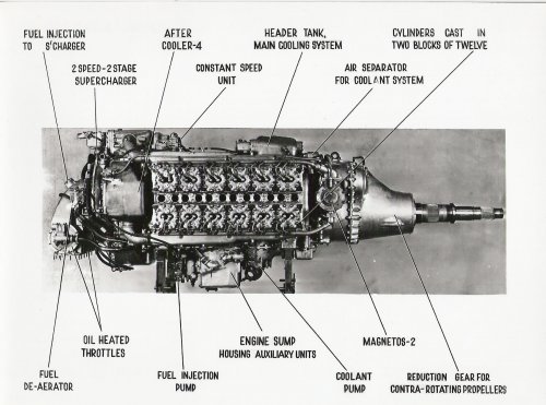 RR Eagle 22.jpg