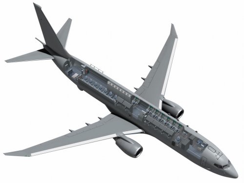 Boeing737VariantCutaway.JPG