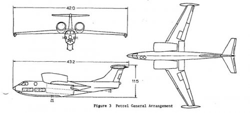 Petrel.jpg