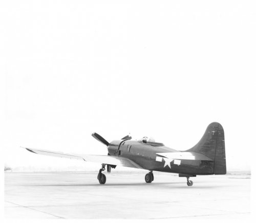 F8B_Photo_3.jpg