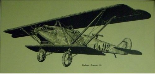 Ca.92 biplane.JPG