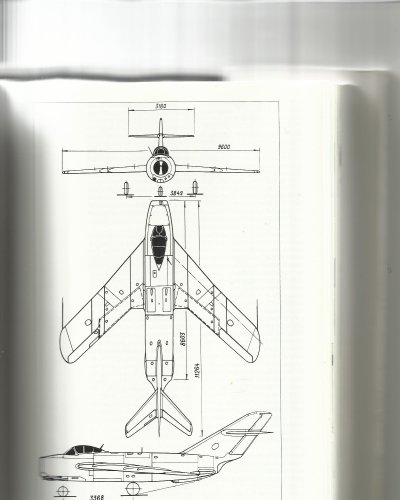 mig.jpg