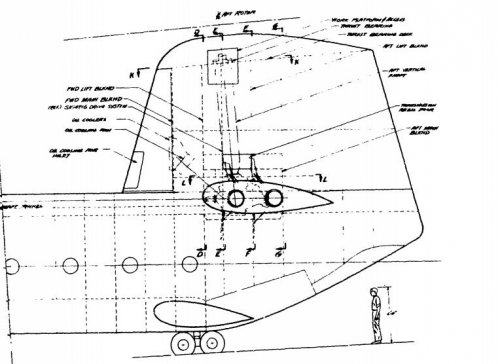 SK-142 (2-2).JPG