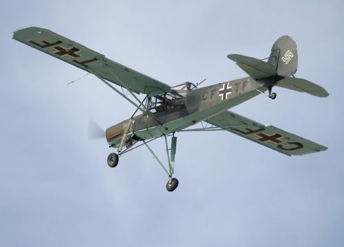 Storch.jpg