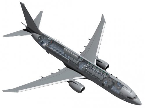 AIR_737_SIGINT_Cutaway_lg.jpg